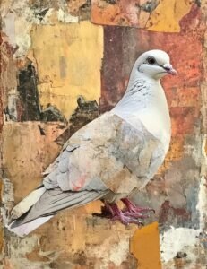 White Dove with Rustic Collage Texture