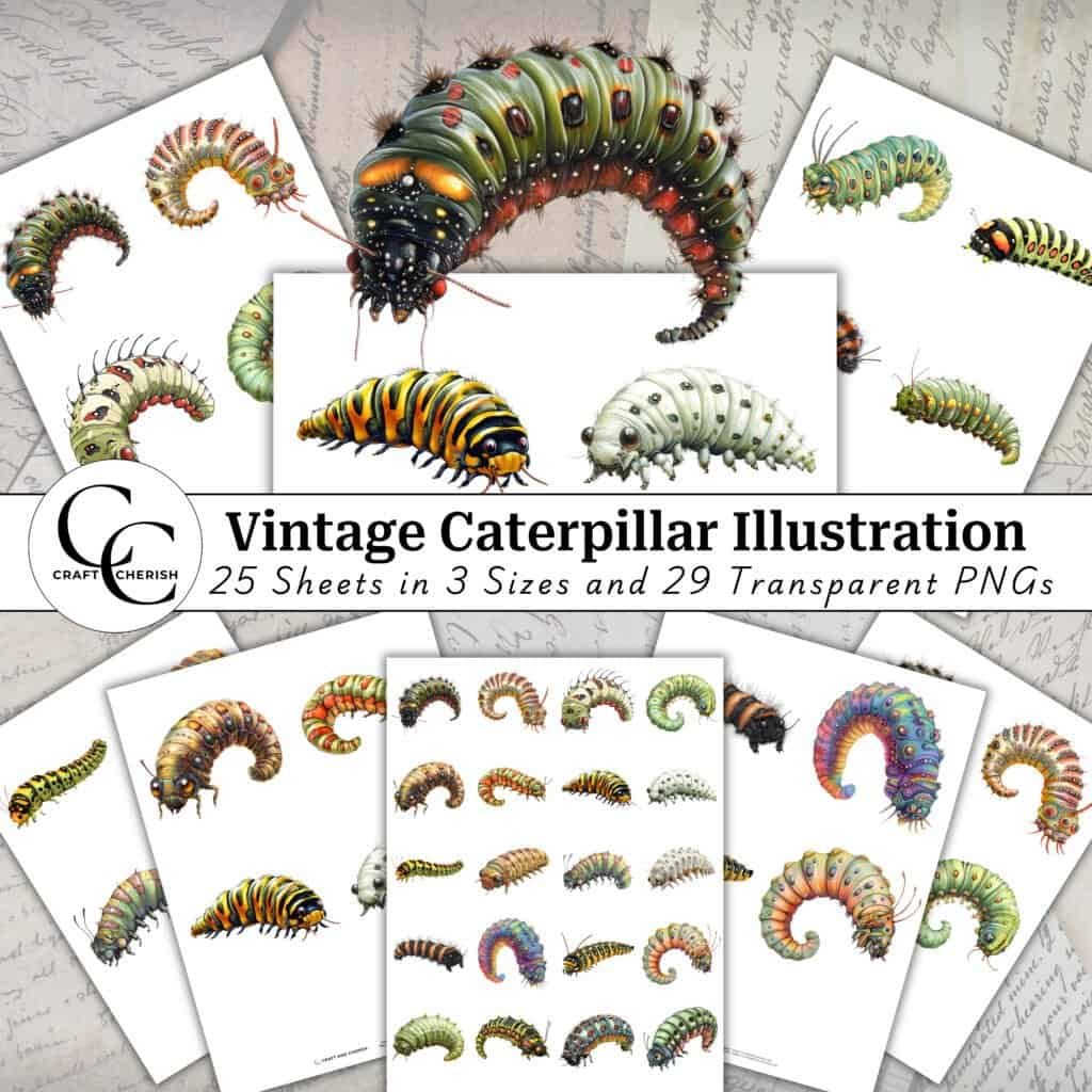 29 Vintage Caterpillar Illustration, Caterpillar Art, Fussy Cut Transparent PNG Bundle for Papercraft