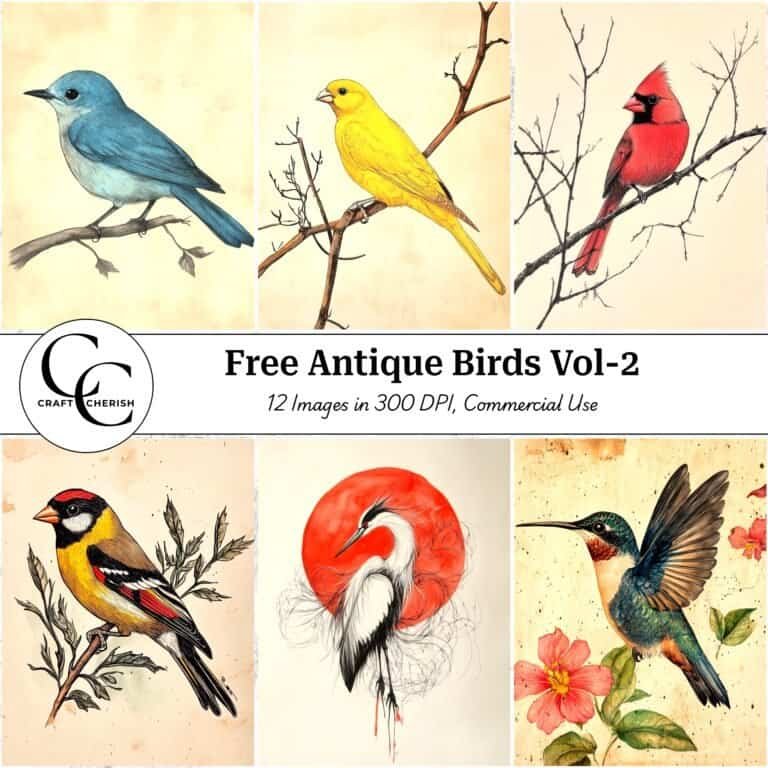 12 Free Vintage Bird Portrait Images – Antique Ephemera & Printable Sheets for Junk Journal Vol. 2