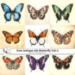 Free Vintage Butterflies