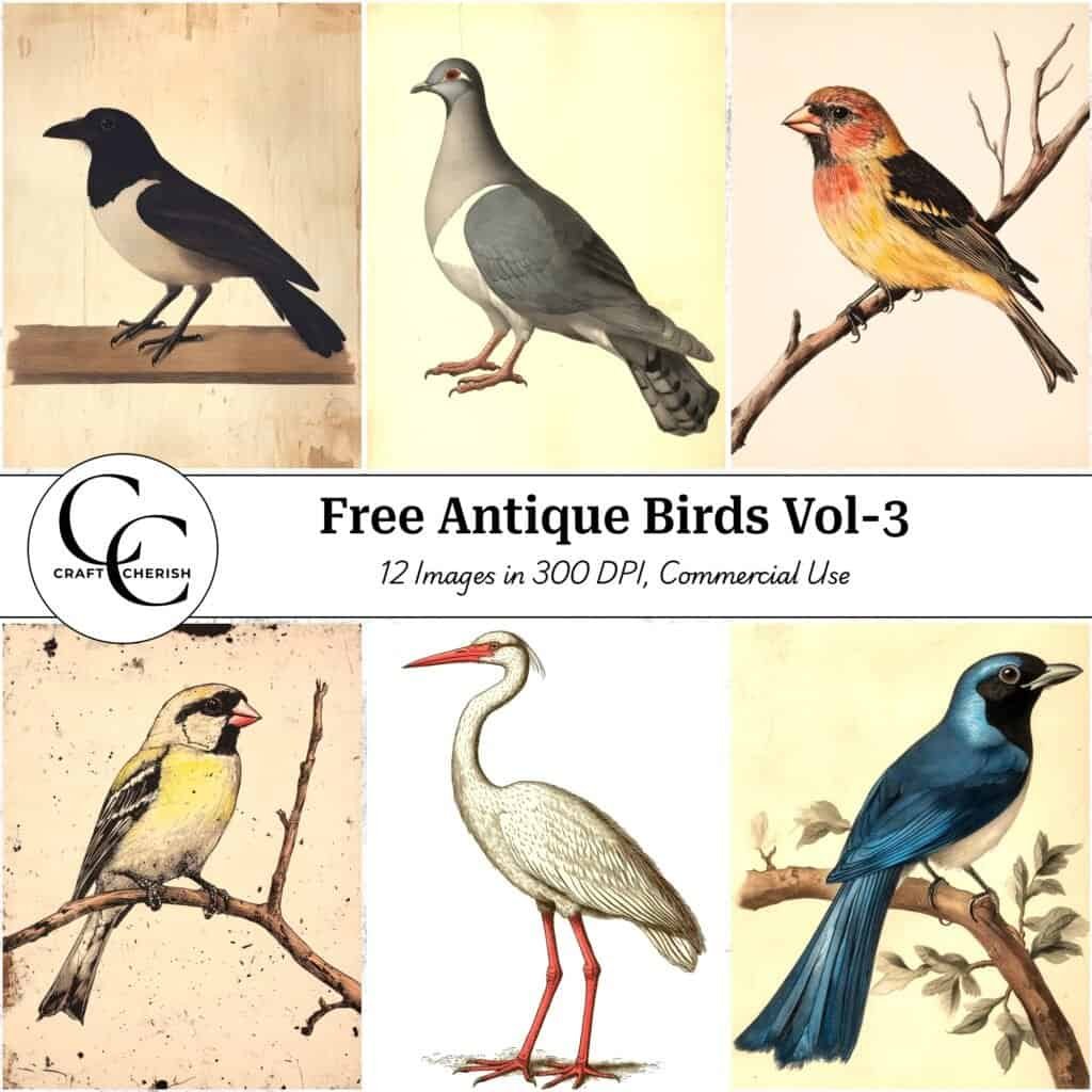 12 Free Junk Journal Bird Portrait Images – Antique Style Vintage Ephemera Printable Sheets Vol. 3