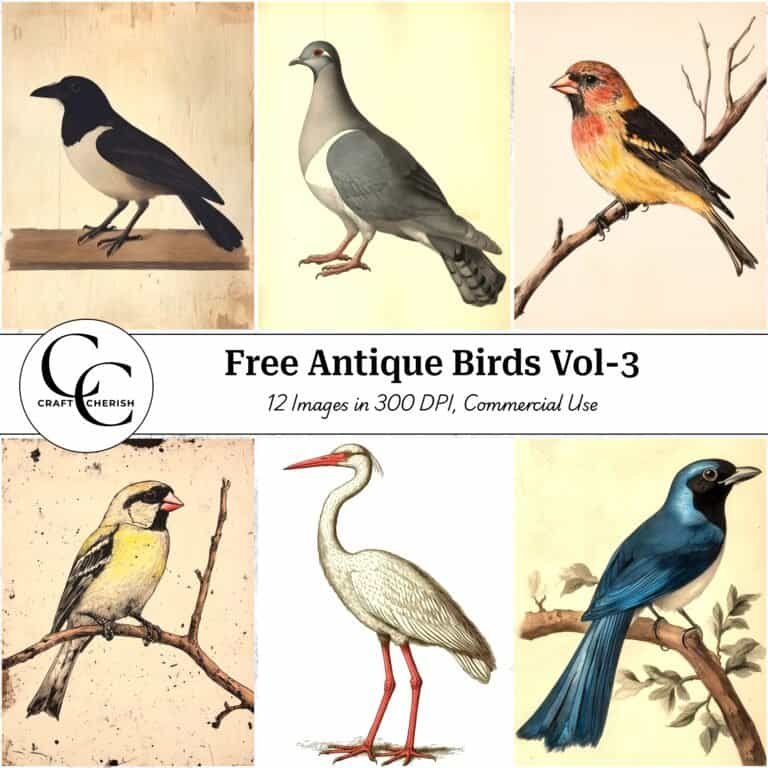 12 Free Junk Journal Bird Portrait Images – Antique Style Vintage Ephemera Printable Sheets Vol. 3