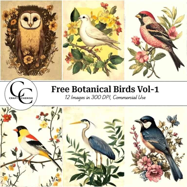 12 Free Botanical Bird Portrait Images – Vintage Printable Sheets & Ephemera for Junk Journals Vol. 1