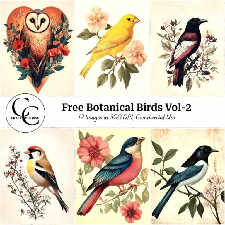 12 Free Vintage Bird Portrait Images – Botanical Style Printable Sheets & Ephemera for Junk Journal Vol. 2