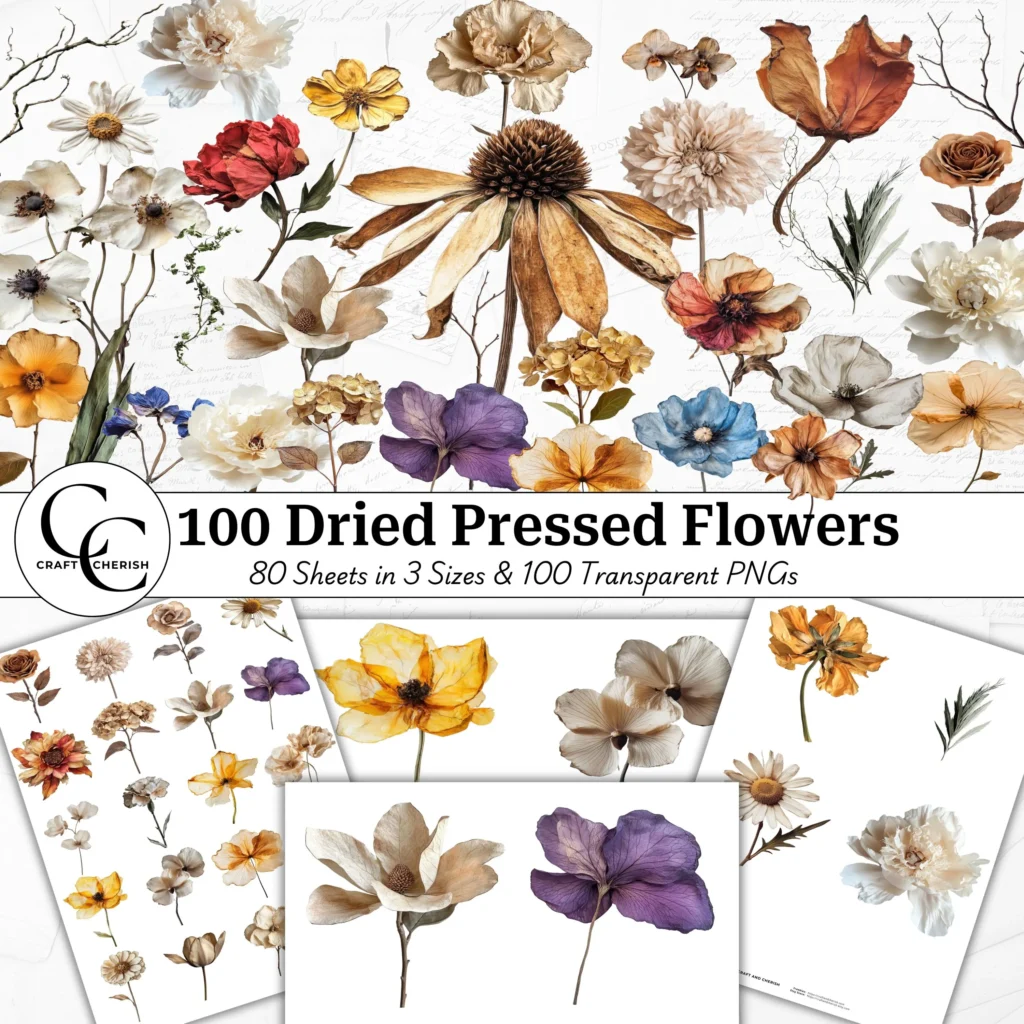 100 Dried Pressed Flower Images, Autumn Colors, Decorative Flower Cutouts, Botanical Fussy Cut Transparent PNG Bundle, Collage Printable