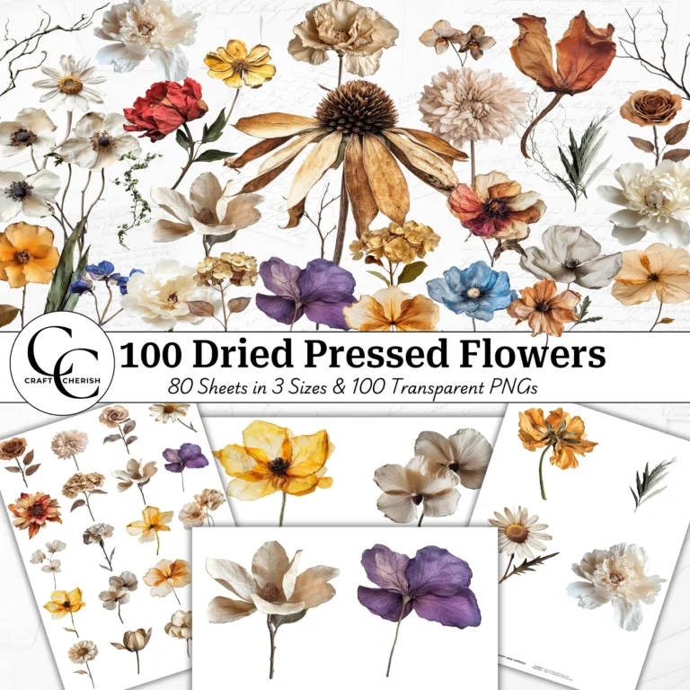 100 Dried Pressed Flower Images, Autumn Colors, Decorative Flower Cutouts, Botanical Fussy Cut Transparent PNG Bundle, Collage Printable