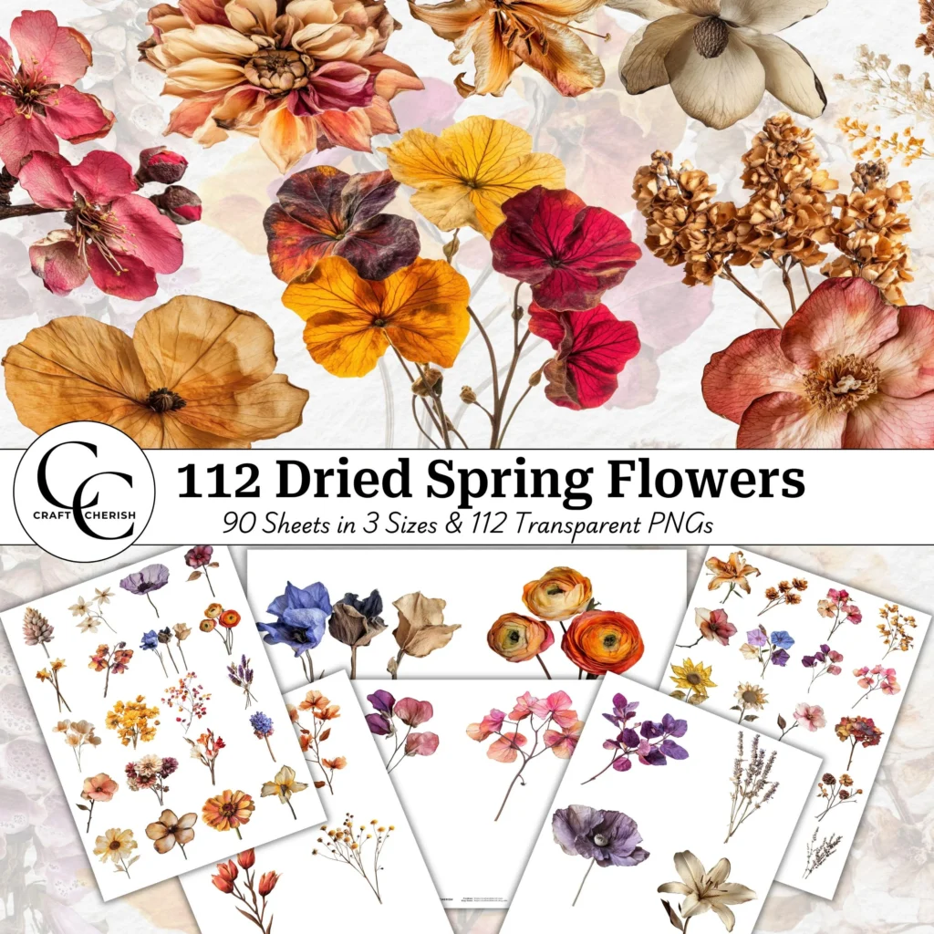 112 Dried Pressed Flower Images, Spring Colors, Decorative Flower Cutouts, Botanical Fussy Cut Transparent PNG Bundle, High Quality Digital Collage Printable