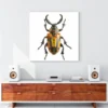 Insect Fussy Cut PNG, Realistic Bug Decoupage Figurine Images for Junk Journals, Scrapbook Ephemera – image 7