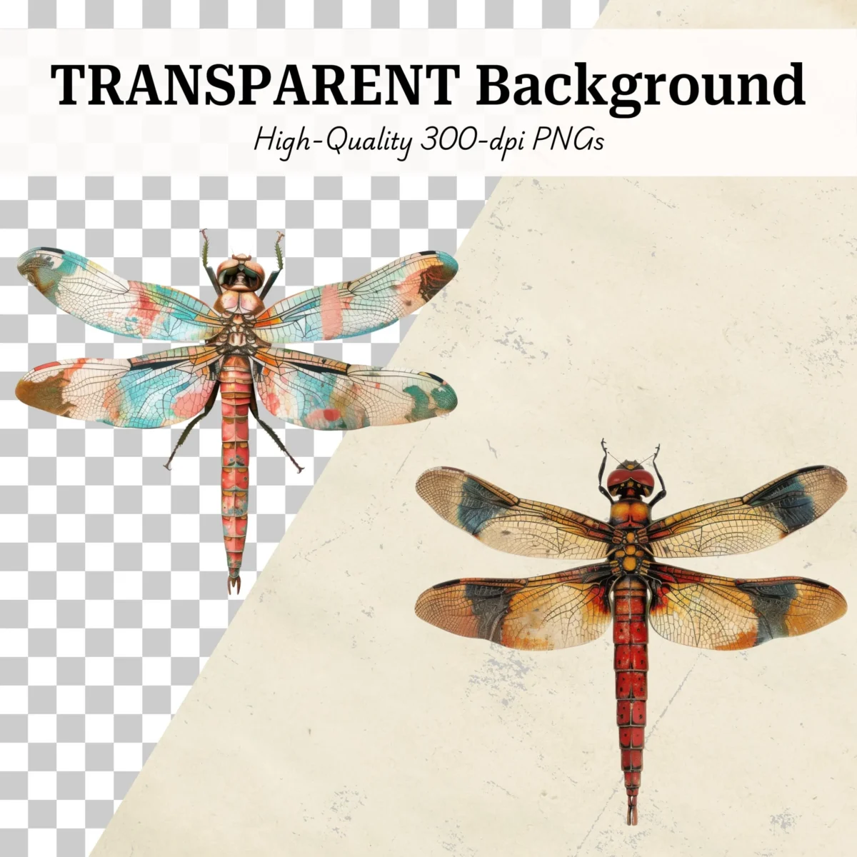 Dragonfly Images, Realistic Dragonfly Figurine Printables for Junk Journals, Scrapbook Ephemera – image 2