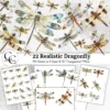 Dragonfly Images, Realistic Dragonfly Figurine Printables for Junk Journals, Scrapbook Ephemera